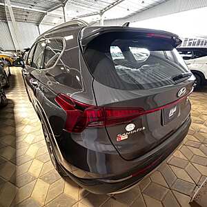 Cerato