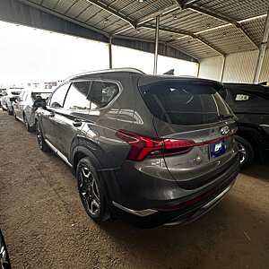 Cerato