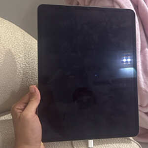 iPad Pro