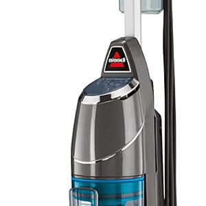 Regular Vacuums