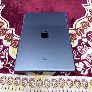 iPad