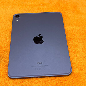 iPad Mini