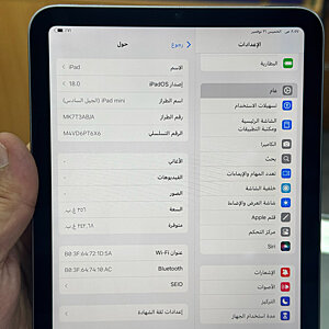 iPad Mini