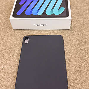 iPad Mini