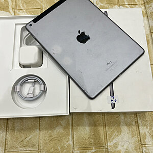 iPad