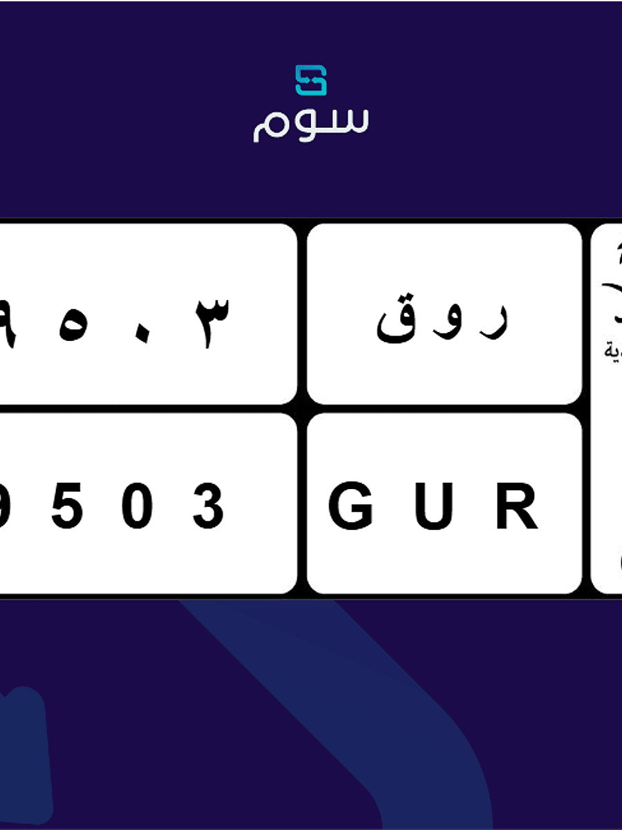 صورة المنتج