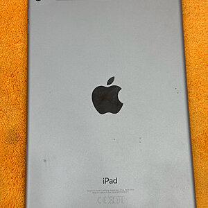 iPad Mini