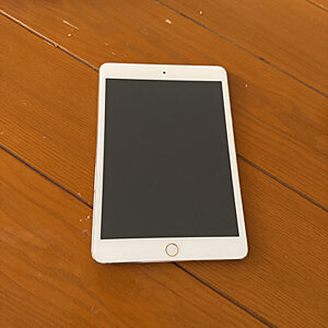 iPad Mini