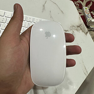 Apple Magic Mouse