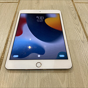 iPad Mini