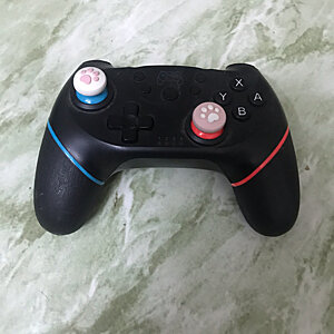 Nintendo Switch Pro Controller