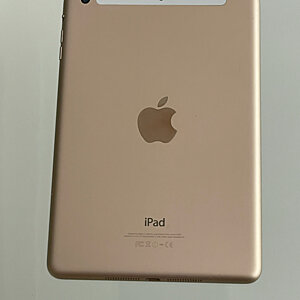 iPad Mini