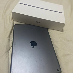 iPad