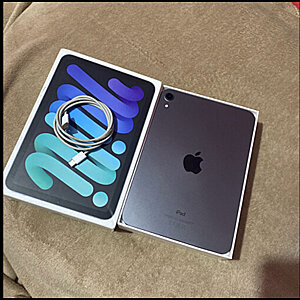 iPad Mini