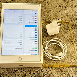 iPad Mini