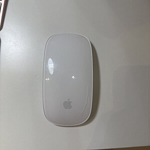 Apple Magic Mouse