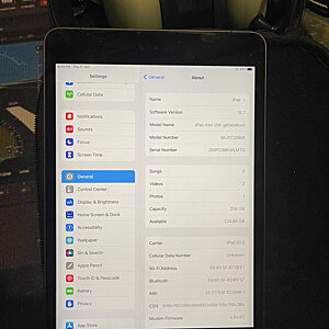 iPad Mini