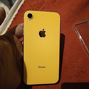 iPhone XR