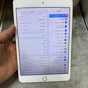 iPad Mini