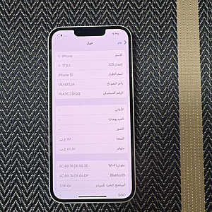 آيفون ١٣