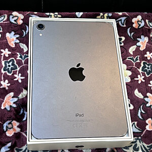 iPad Mini