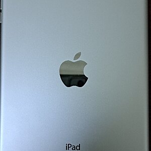 iPad Mini