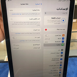 iPad Mini