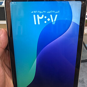 iPad Mini