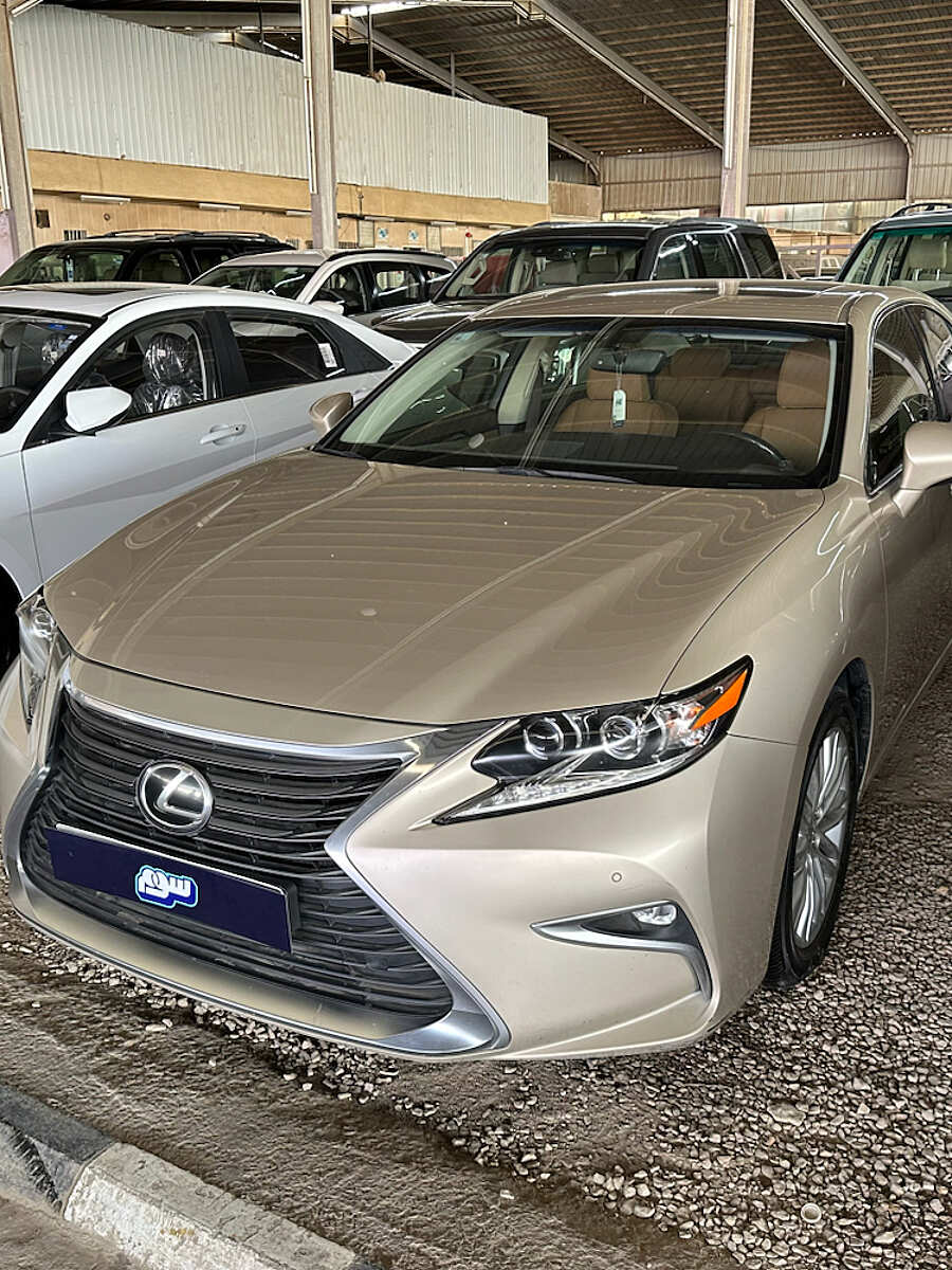 صورة المنتج