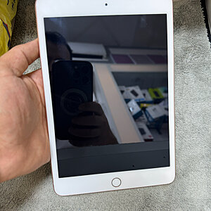 iPad Mini