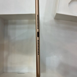 iPad Mini