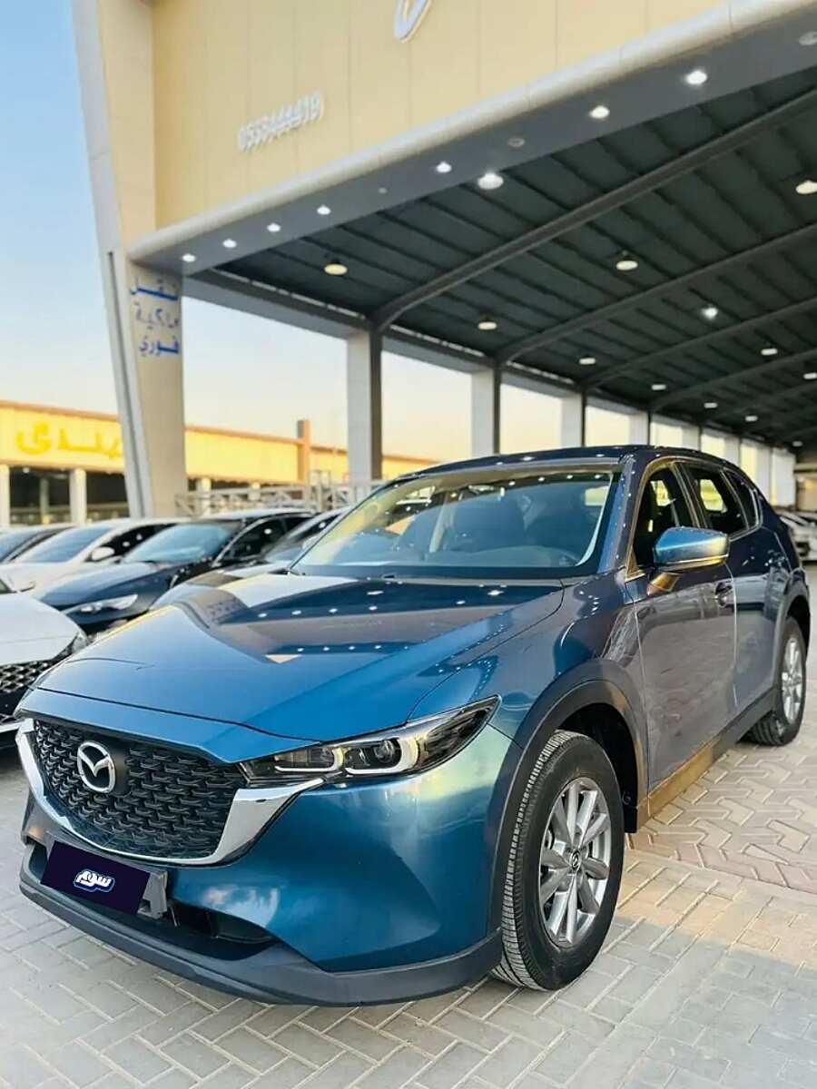 صورة المنتج