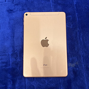 iPad Mini