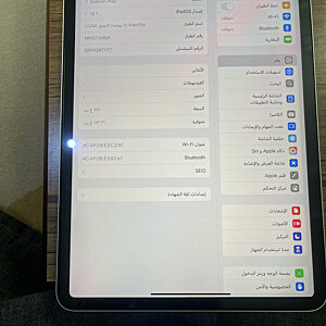 iPad Pro