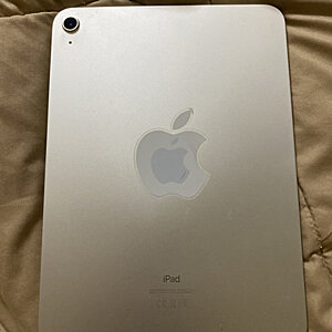 iPad