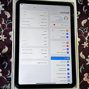 iPad Mini