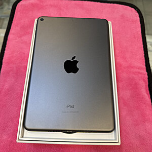 iPad Mini