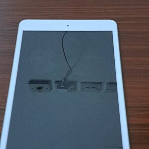 iPad Mini