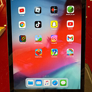 iPad Mini