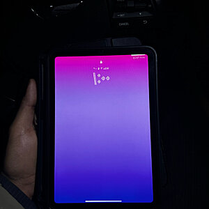 iPad Mini