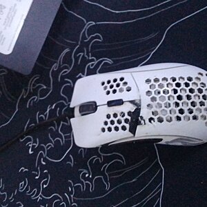 Glorious Gaming Mouse Model D