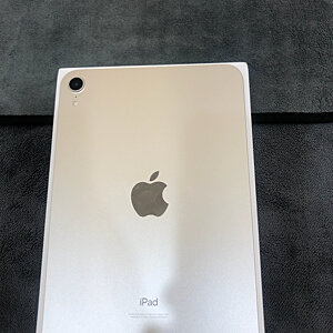 iPad Mini