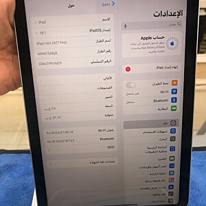 iPad Mini