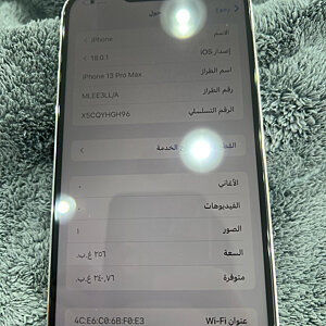 iPhone 13 Pro Max