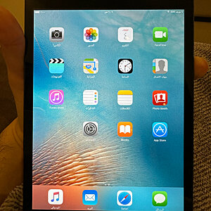 iPad Mini