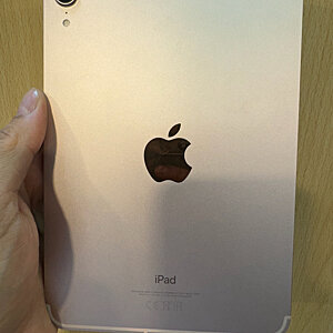 iPad Mini