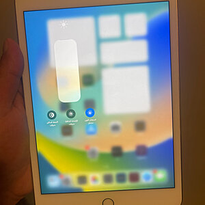 iPad Mini